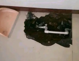 台安卫生间测漏水多少钱